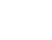 s1t